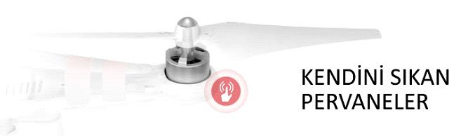 DJI Phantom Pervane