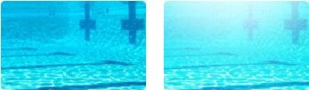 Speedo 