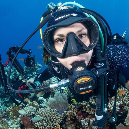 Scuba Dalış