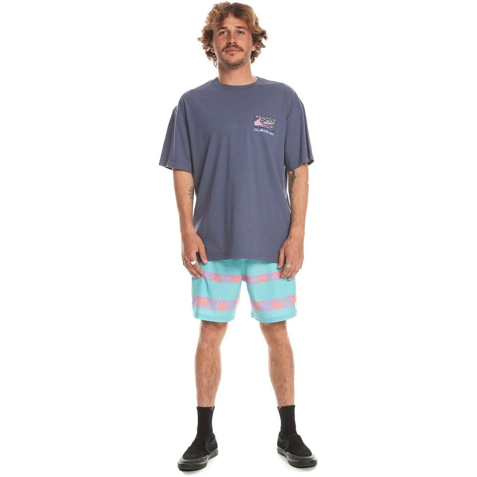 Quiksilver Spin Cycle SS Erkek T-Shirt