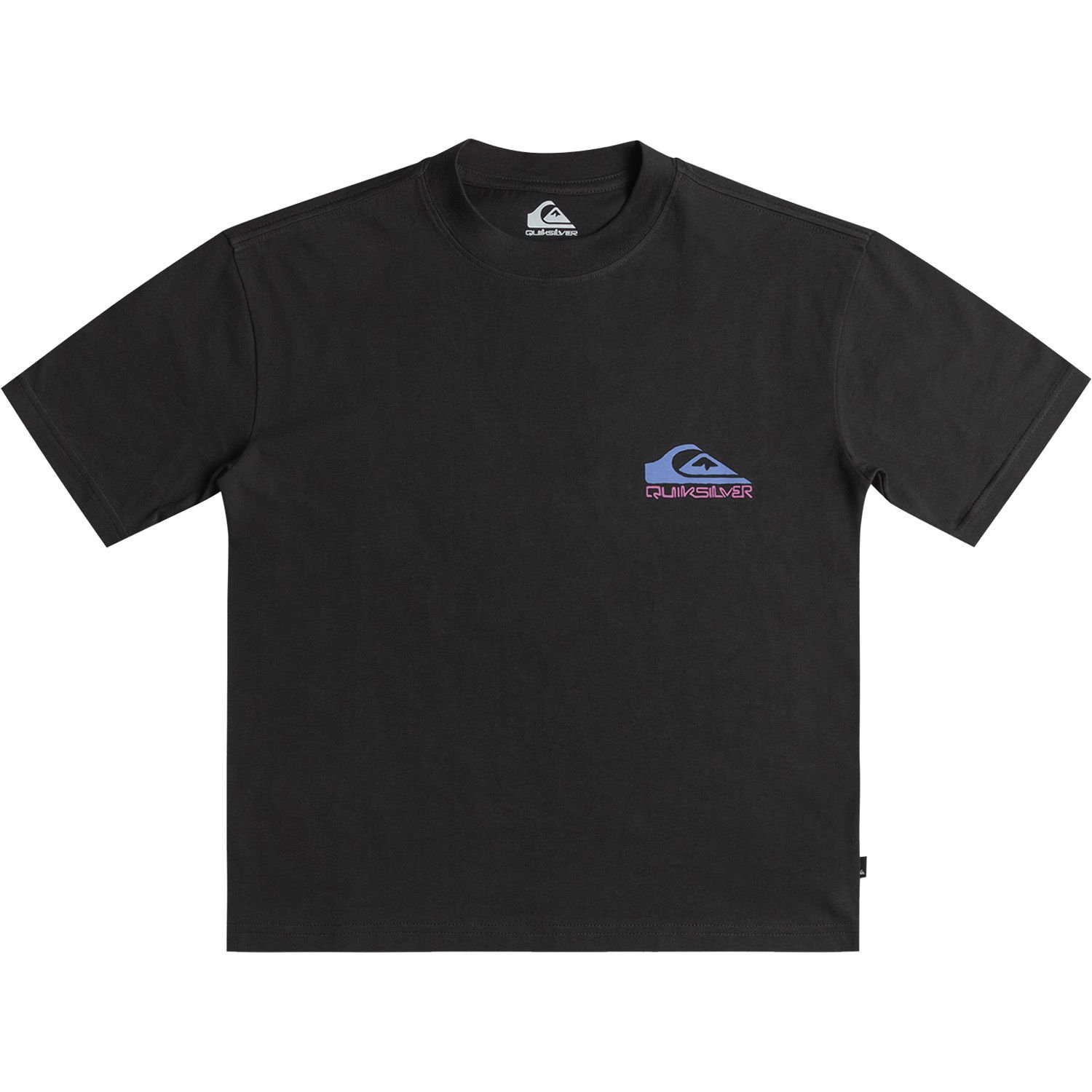 Quiksilver Take Us Back Logo Ss Erkek T-Shirt