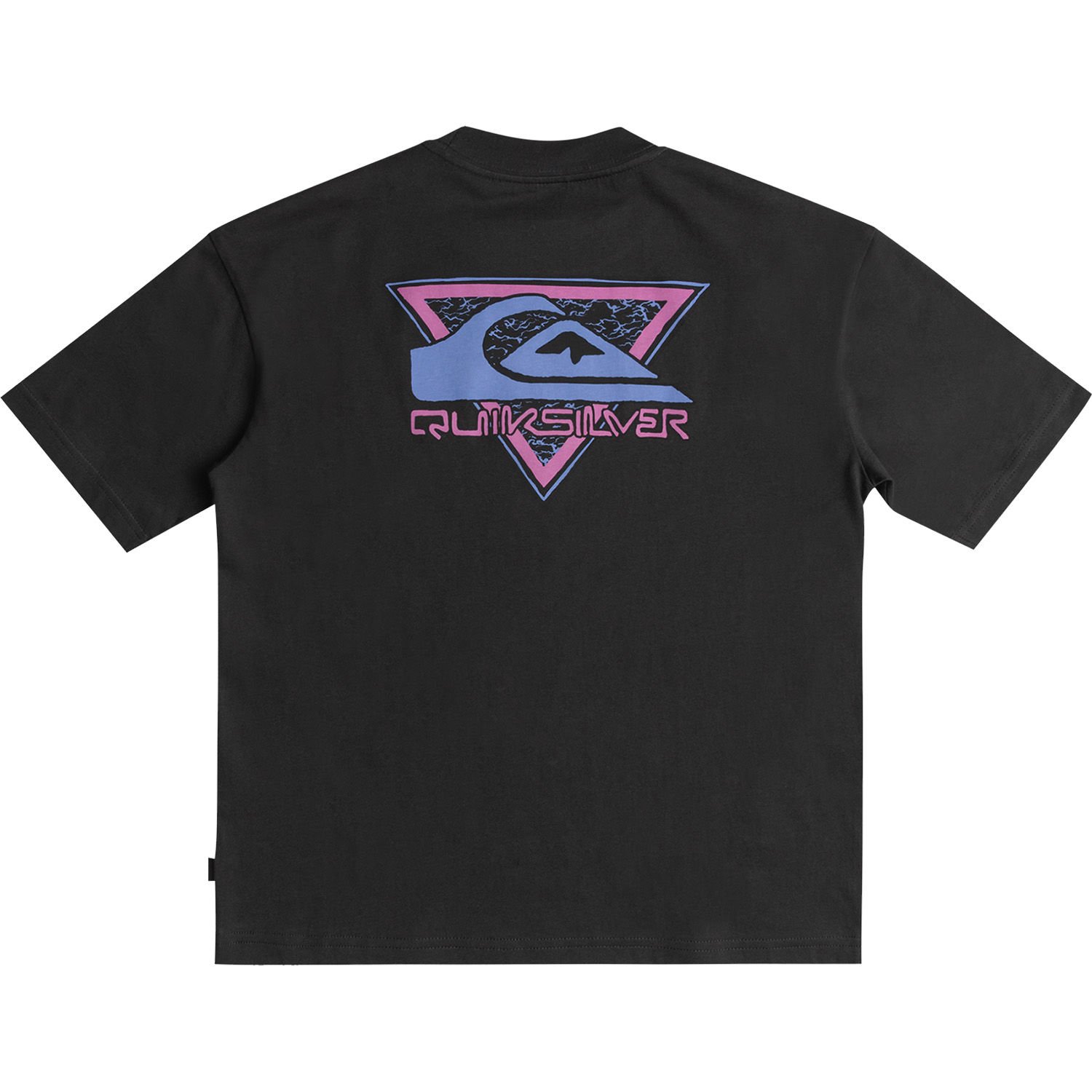 Quiksilver Take Us Back Logo Ss Erkek T-Shirt