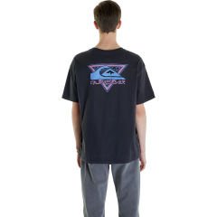 Quiksilver Take Us Back Logo Ss Erkek T-Shirt
