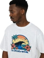 Quiksilver Riding Today SS Erkek T-Shirt