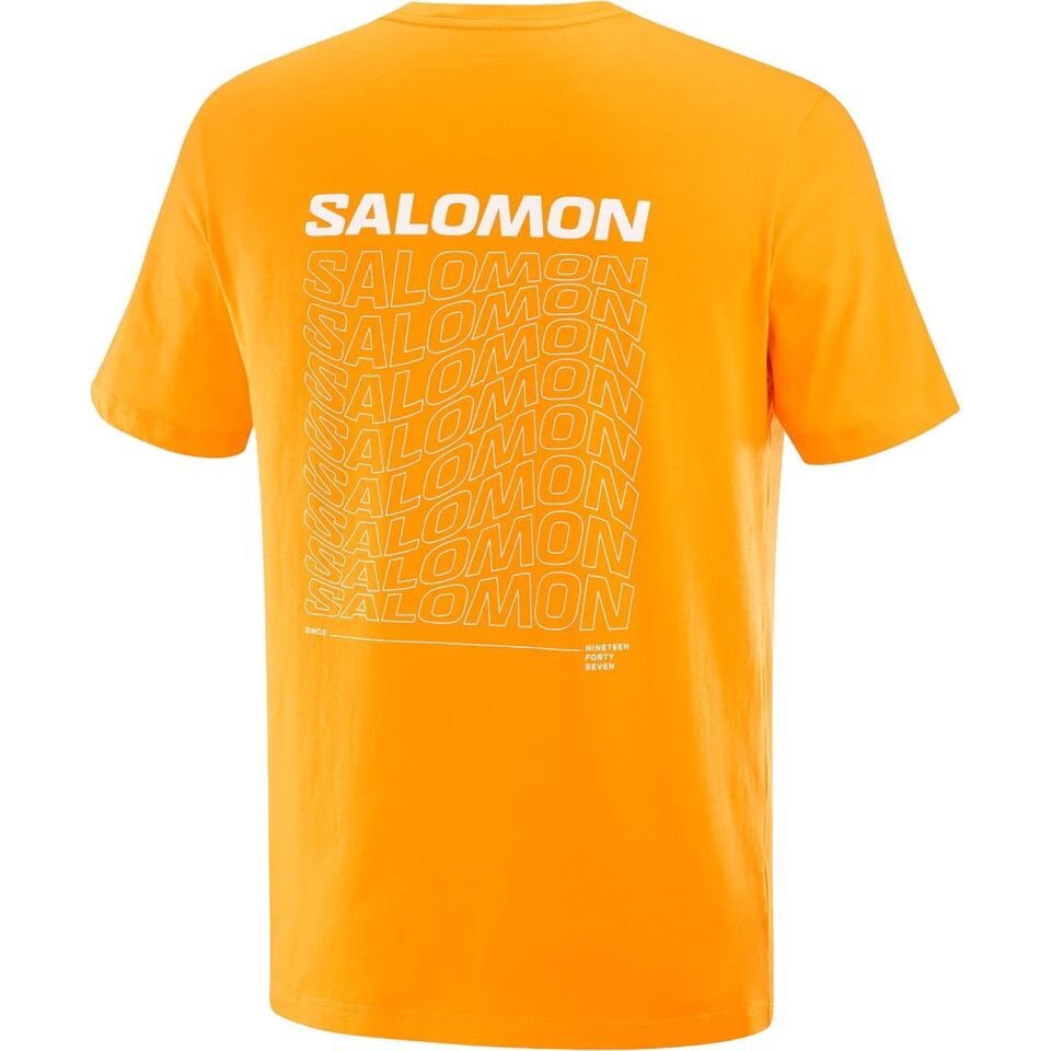 Salomon Graphic Perf SS Tee Erkek T-Shirt Turuncu - M