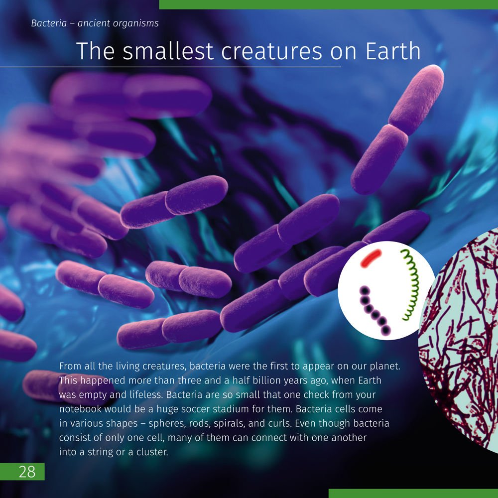 Uzay. Mikro dünya. Bilgilendirici kitap (iki ciltli sürüm). Ciltli kapak