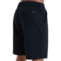 Quiksilver Union Amphibian 20 Erkek Şort