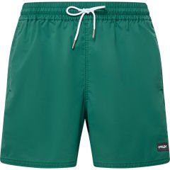 Oakley Robinson Rc 16'' Beachshort Erkek Şort