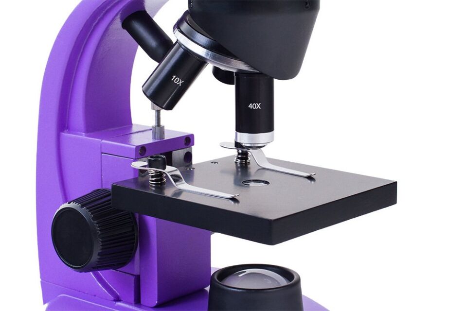 Levenhuk 50L Ng Amethyst Mikroskop
