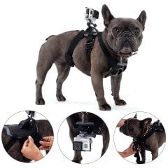 GoPro Fetch: Köpek Askısı