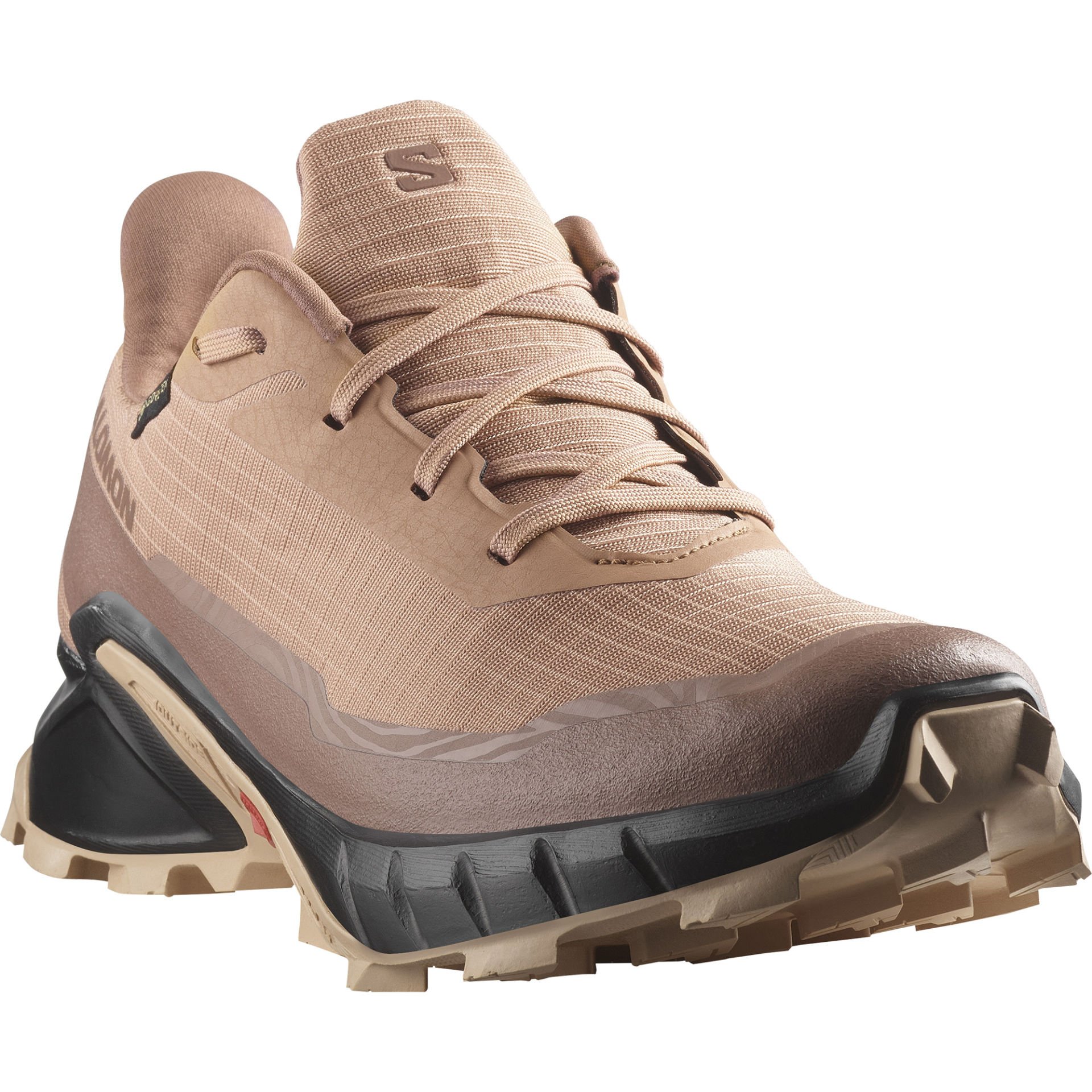 Salomon Alphacross 5 Gore-Tex Kadın Ayakkabı