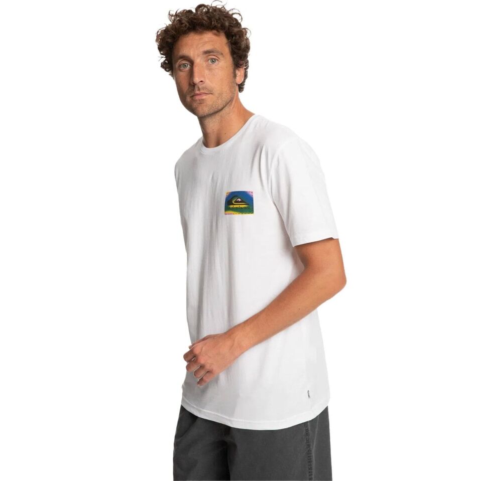 Quiksilver Colourflow Tees Erkek T-Shirt