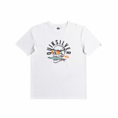 Quiksilver Qsrockinskull Erkek T-Shirt