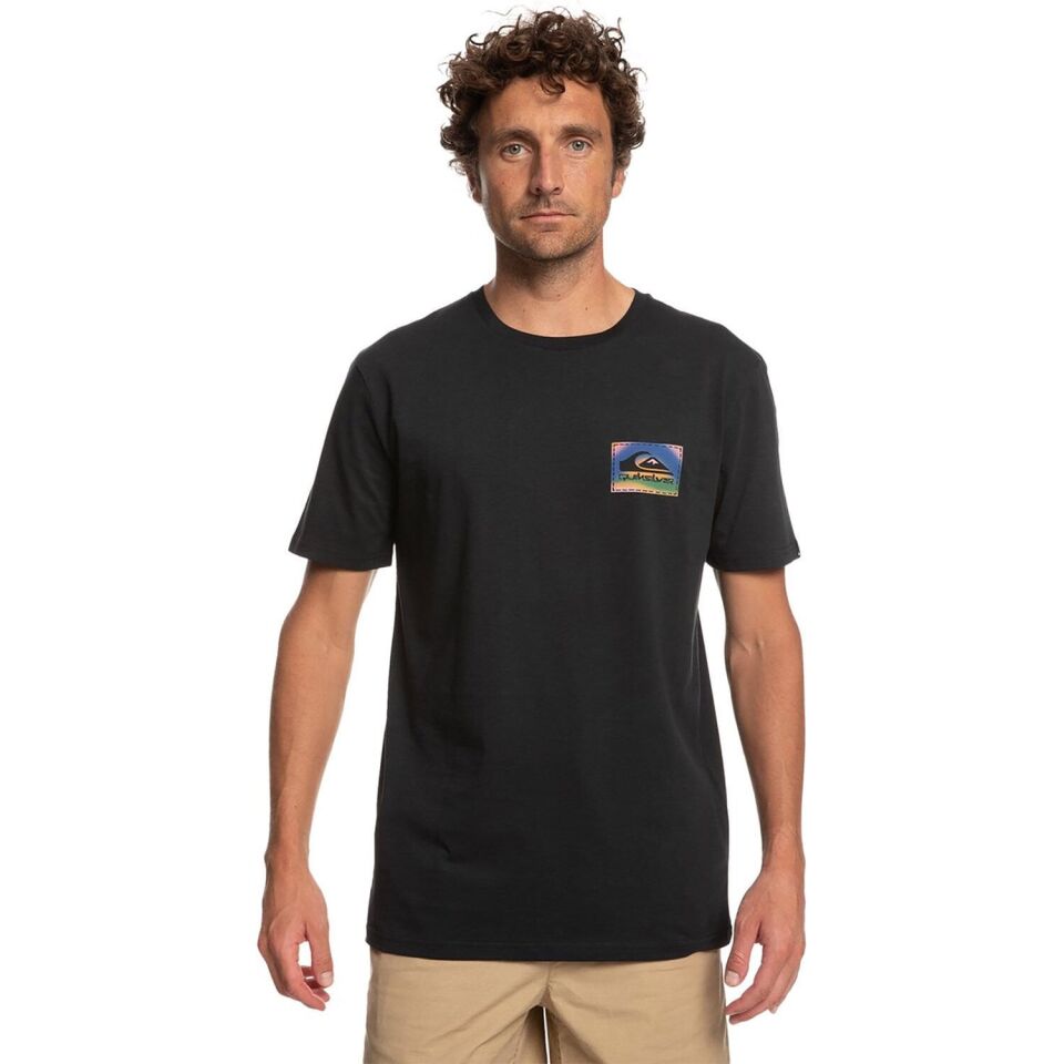 Quiksilver Colourflow Tees Erkek T-Shirt Gri - XL
