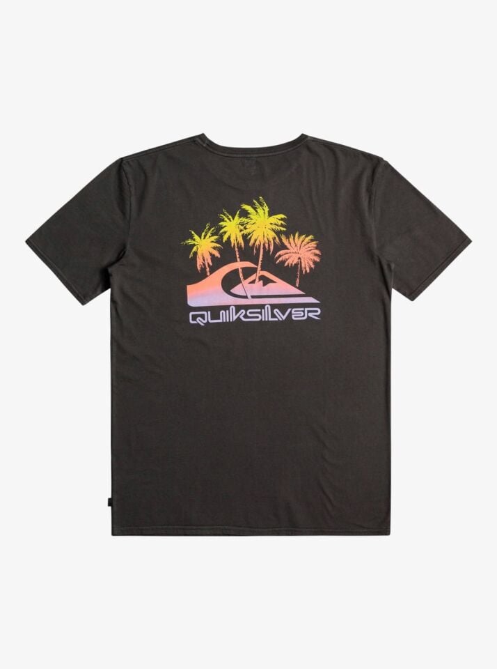 Quiksilver Pastime Paradise Erkek T-shirt