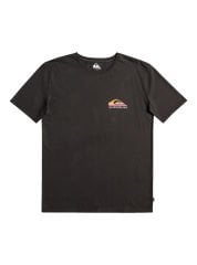 Quiksilver Pastime Paradise Erkek T-shirt