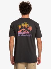 Quiksilver Pastime Paradise Erkek T-shirt