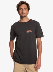 Quiksilver Pastime Paradise Erkek T-shirt