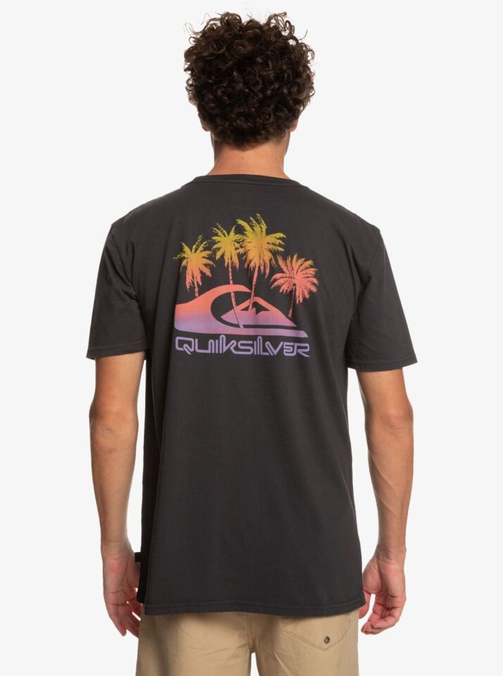 Quiksilver Pastime Paradise Erkek T-shirt Siyah - L
