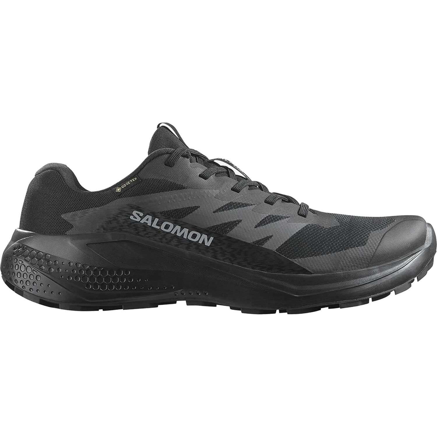 Salomon Alphaglide Gore-Tex Erkek Ayakkabı