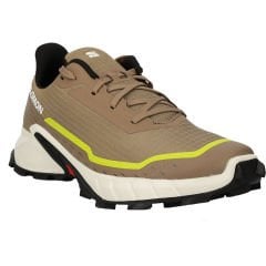 Salomon Alphacross 5 Erkek Ayakkabı