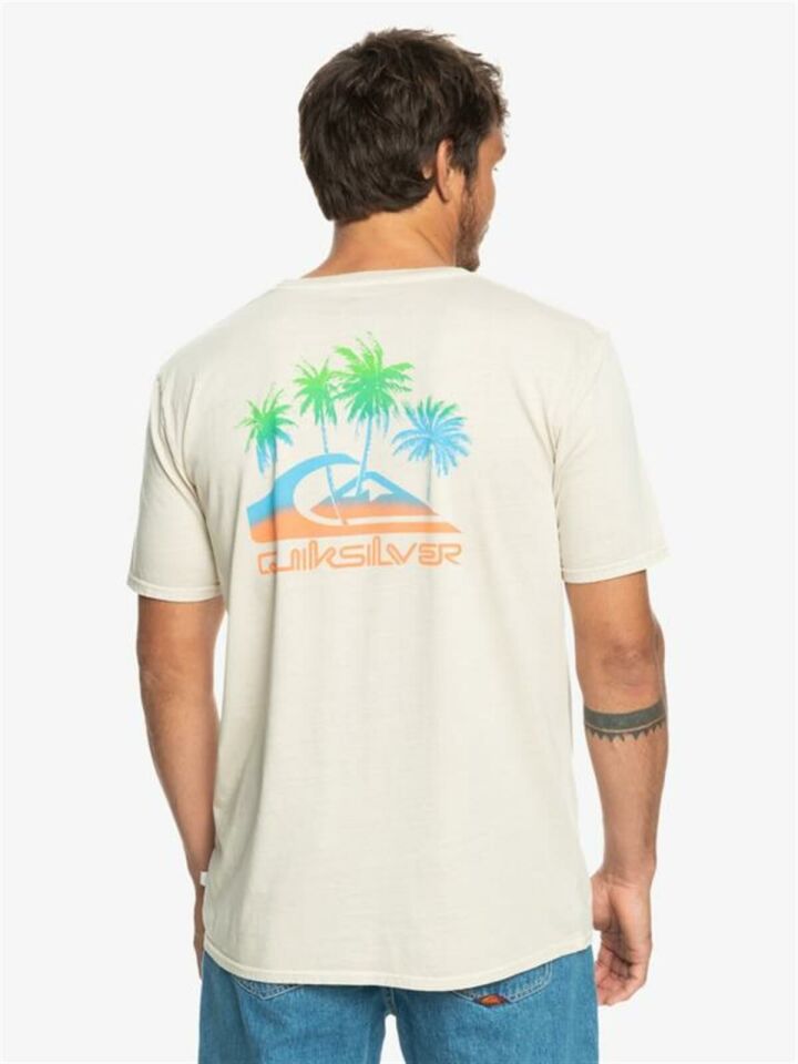 Quiksilver Pastime Paradise Erkek T-Shirt