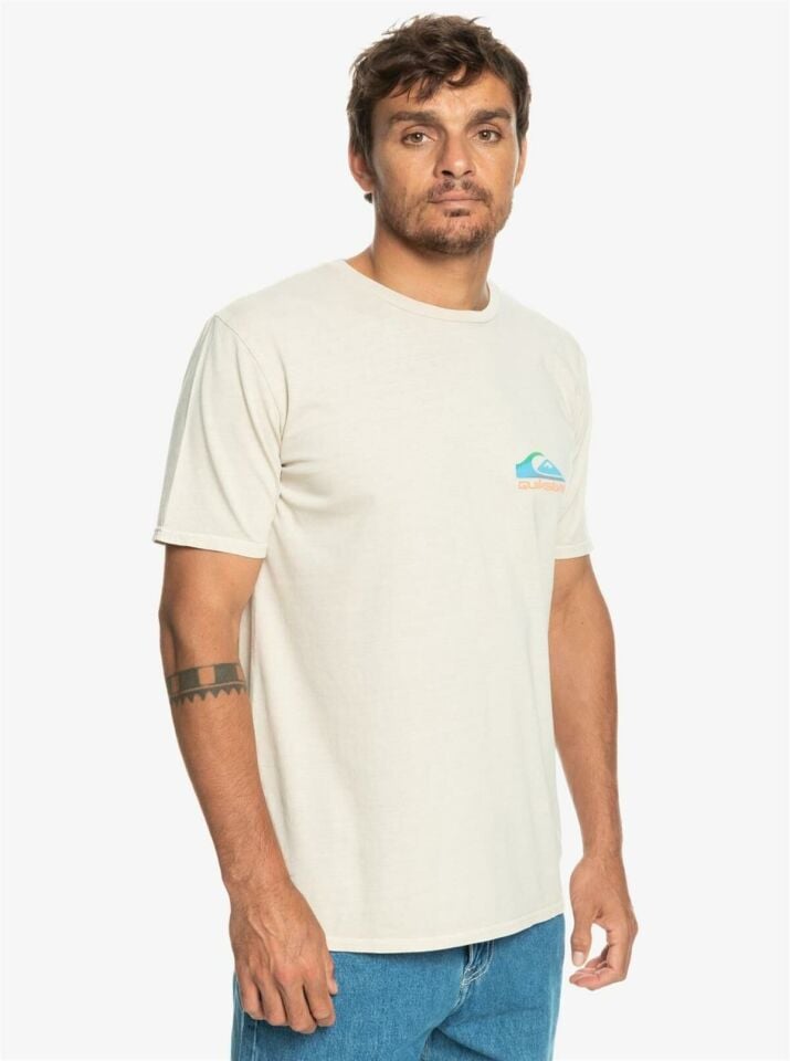 Quiksilver Pastime Paradise Erkek T-Shirt