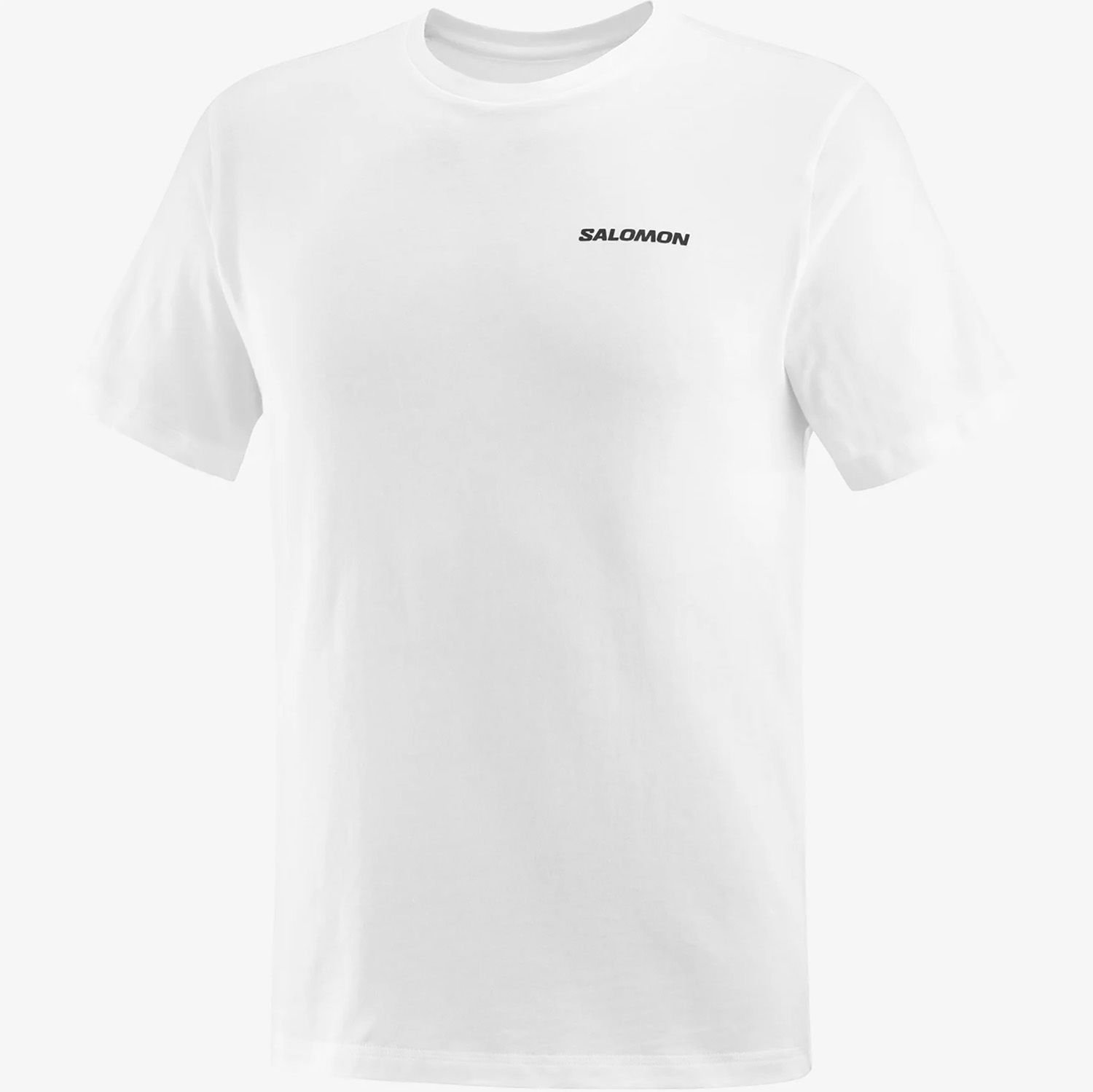 Salomon Graphic Perf SS Tee Erkek T-Shirt