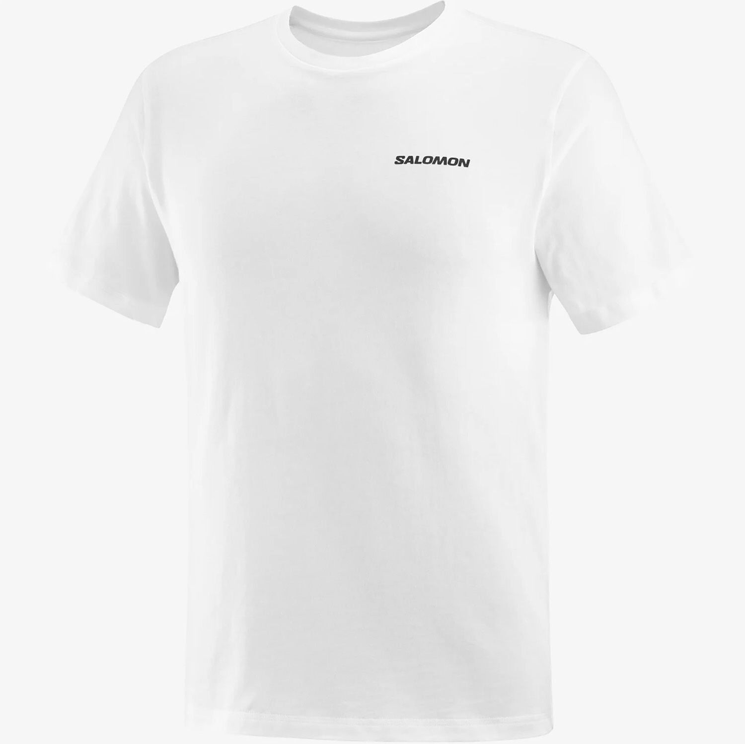 Salomon Graphic Perf SS Tee Erkek T-Shirt