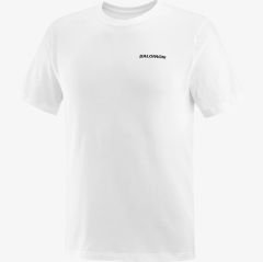 Salomon Graphic Perf SS Tee Erkek T-Shirt