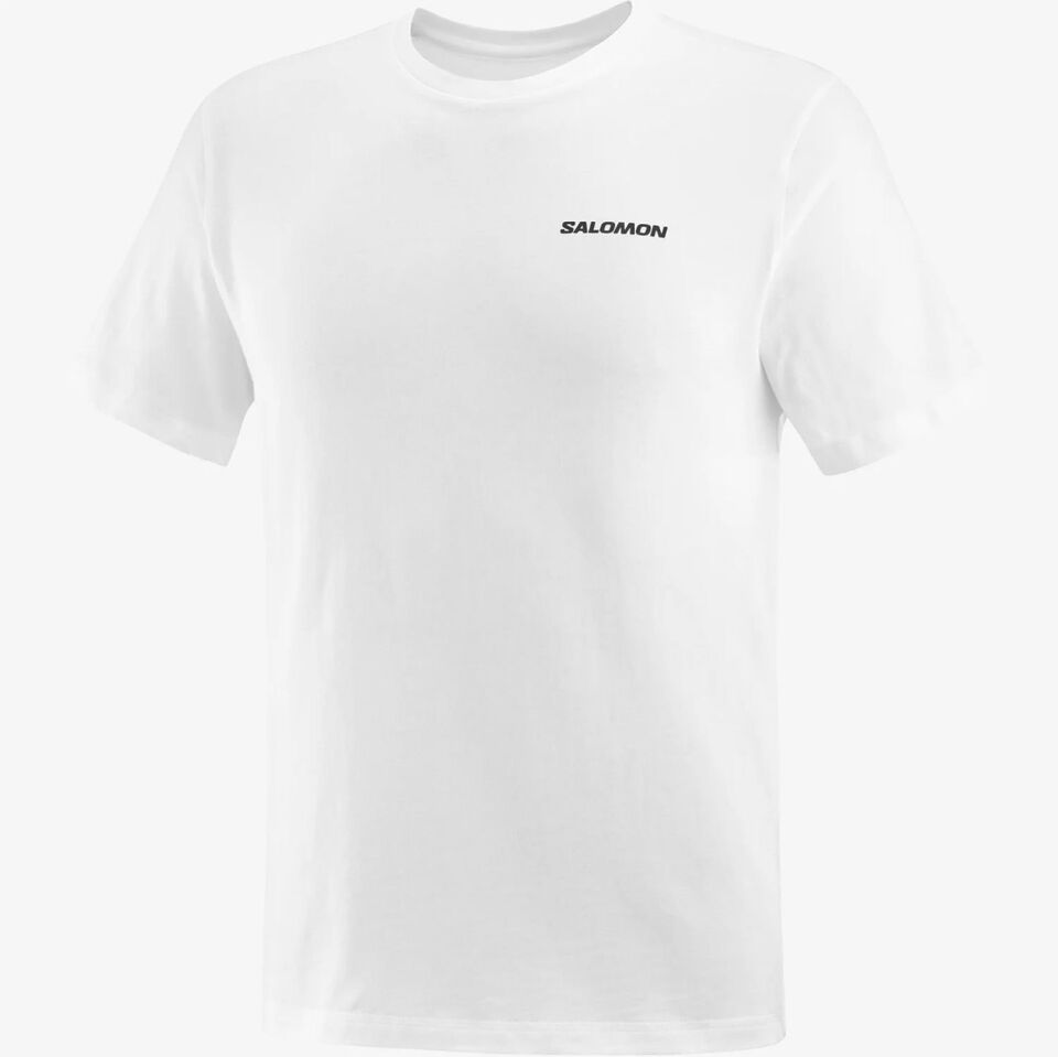 Salomon Graphic Perf SS Tee Erkek T-Shirt