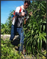 Toread ZEKF80387-G08G Dağcı Batonu