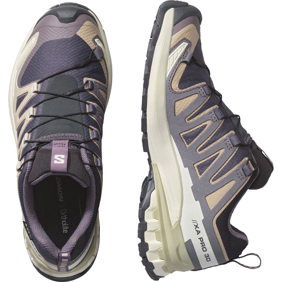 Salomon Xa Pro 3D V9 Gore-Tex Kadın Ayakkabı Gri - 37