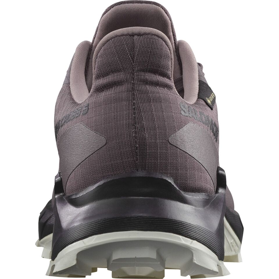 Salomon Alphacross 5 Gore-Tex Kadın Ayakkabı Mor - 38