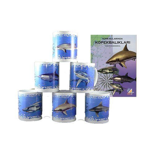 Kitap Set TÜRK SULARINDA KÖPEKBALIKLARI / Hakan Kabasakal ve 6 adet Köpekbalığı Figürlü Kahve Çay Kupası