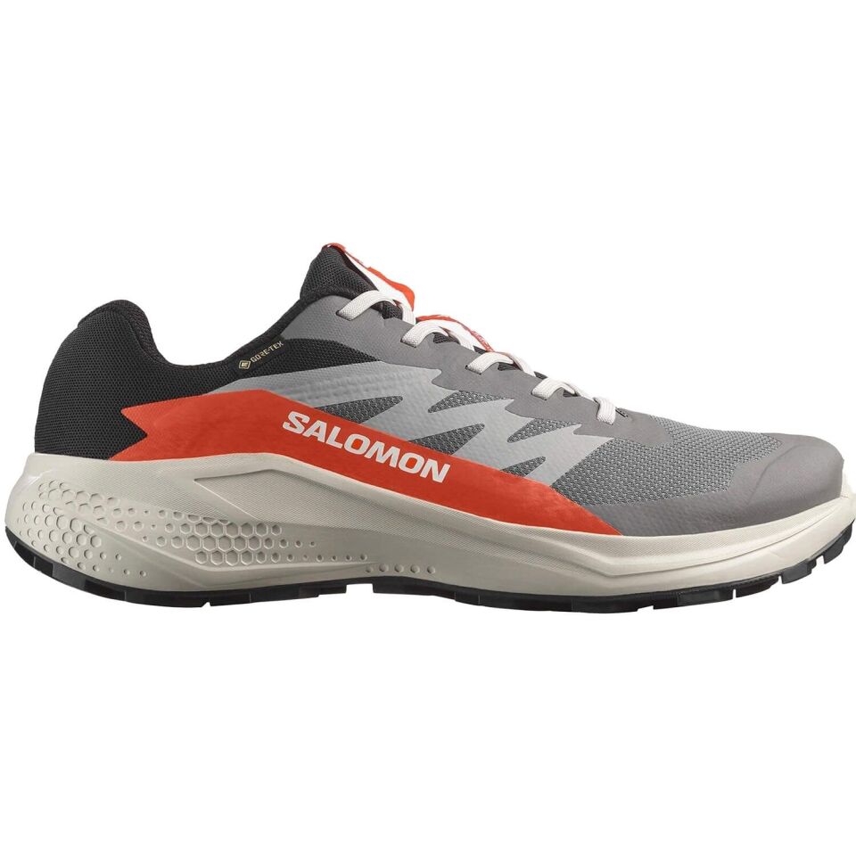 Salomon Alphaglide Gore-Tex Erkek Ayakkabı Gri - 43
