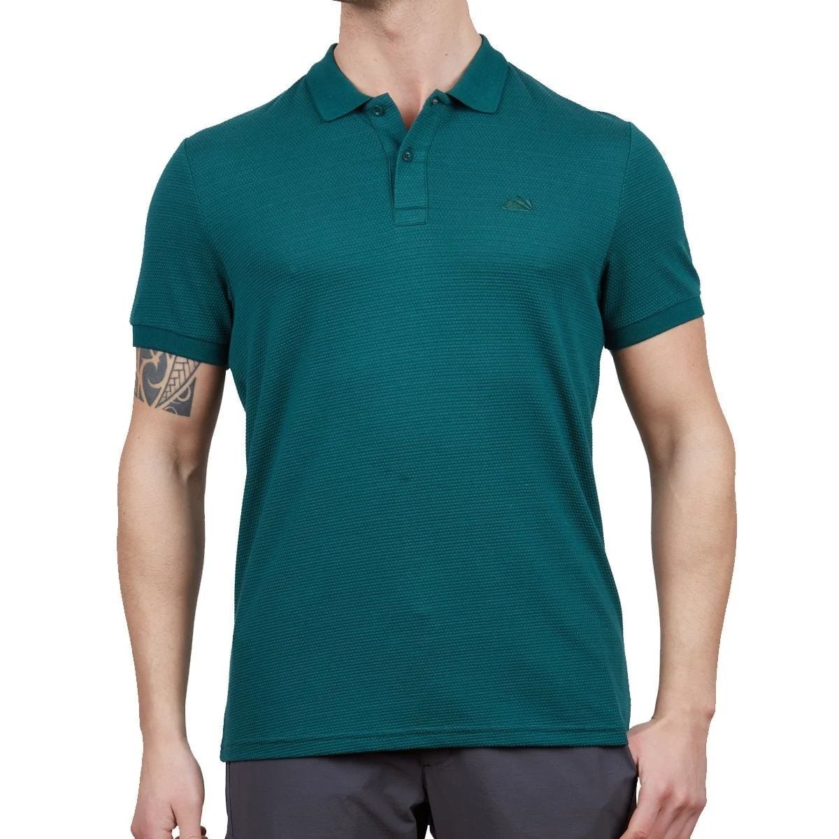 Alpinist Roc Erkek Polo T-Shirt