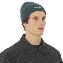Salomon Salomon Beanie Unisex Bere