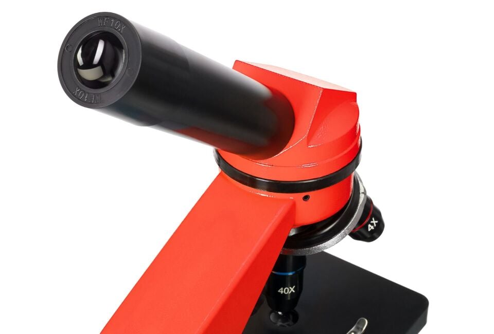Levenhuk Raınbow 2L Orange/Portakal Mikroskop