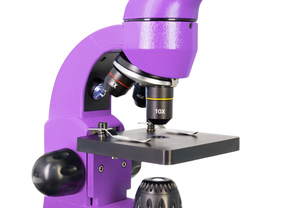 Levenhuk Raınbow 50L Amethyst/Ametist Mikroskop