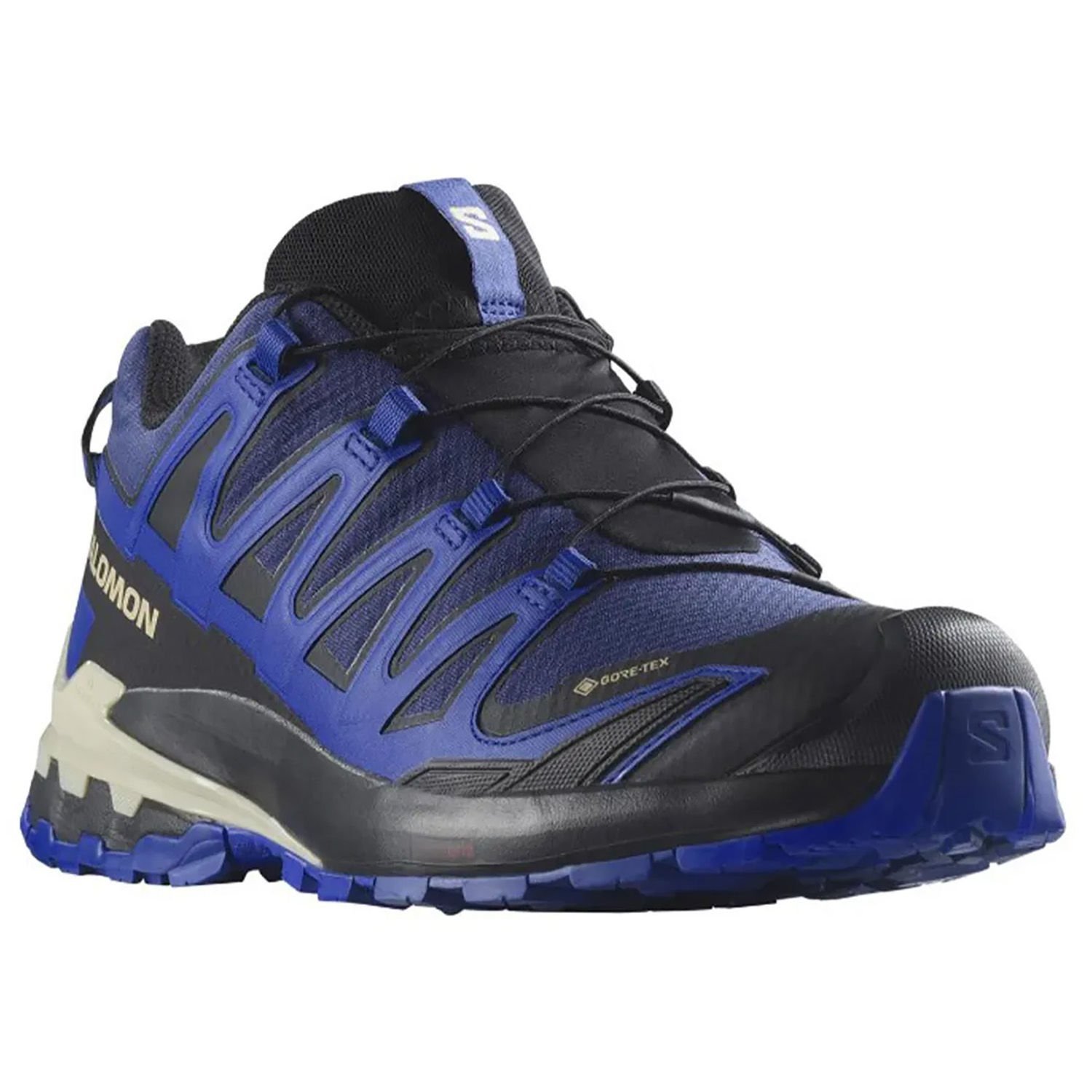 Salomon XA PRO 3D V9 Gore-Tex Erkek Ayakkabı