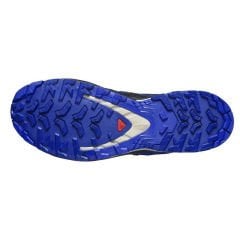 Salomon XA PRO 3D V9 Gore-Tex Erkek Ayakkabı