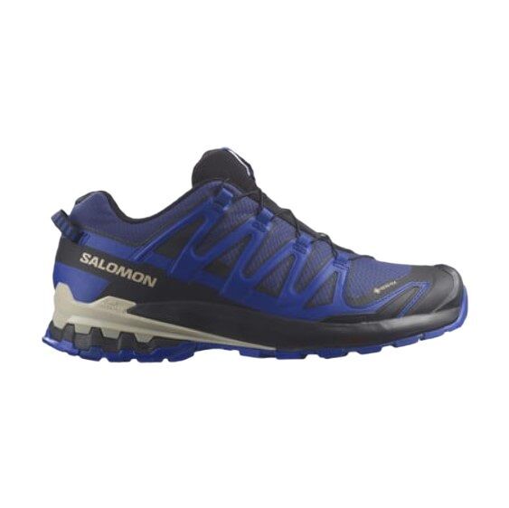 Salomon XA PRO 3D V9 Gore-Tex Erkek Ayakkabı Mavi - 40