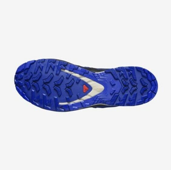 Salomon XA PRO 3D V9 Gore-Tex Erkek Ayakkabı Mavi - 40