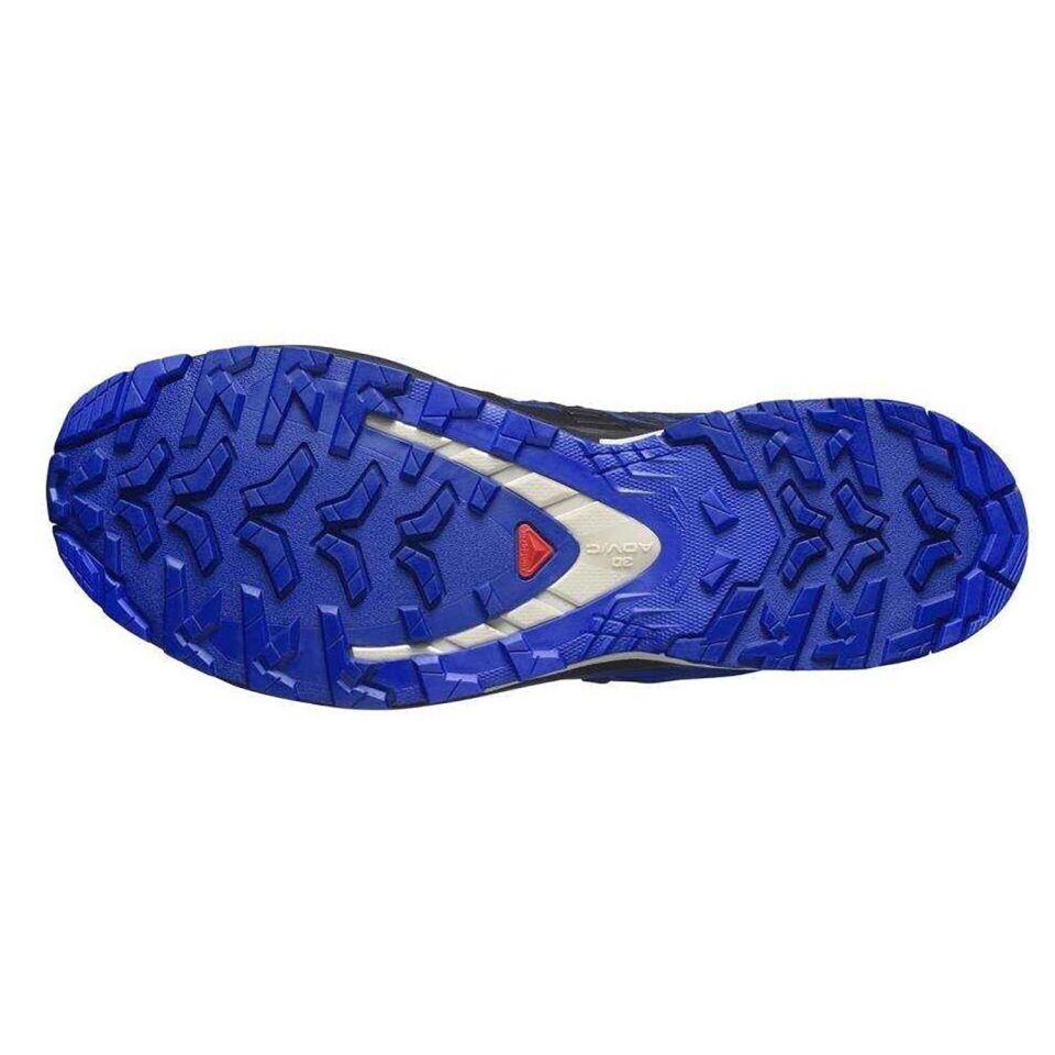 Salomon XA PRO 3D V9 Gore-Tex Erkek Ayakkabı Mavi - 42