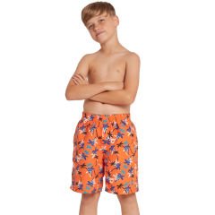 Zoggs Boys Hey Day Print 15 Inch Çocuk Şortu