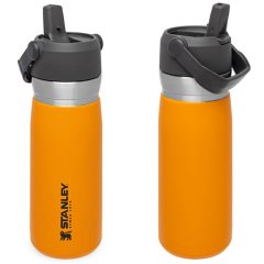 Stanley GO Iceflow Pipetli Paslanmaz Çelik Soğuk Su Termosu 0.65 LT Stanley GO Iceflow Pipetli Paslanmaz Çelik Soğuk Su Termosu 0.65 LT 0,65 LT - Turuncu