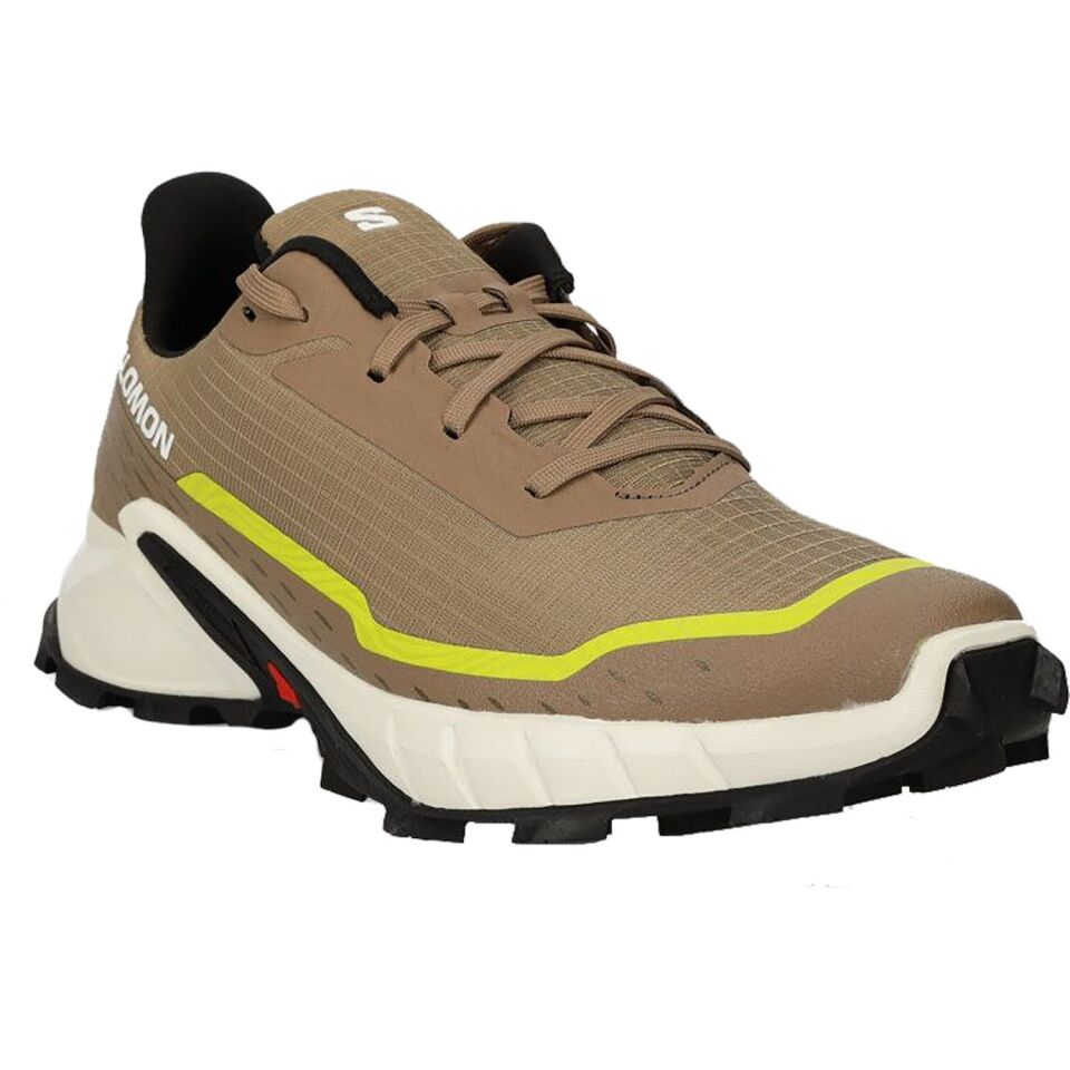 Salomon Alphacross 5 Erkek Ayakkabı Kahverengi - 44