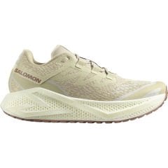 Salomon Aero Glide 3 Grvl Erkek Ayakkabı