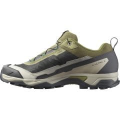Salomon X Ultra 5 Erkek Ayakkabı